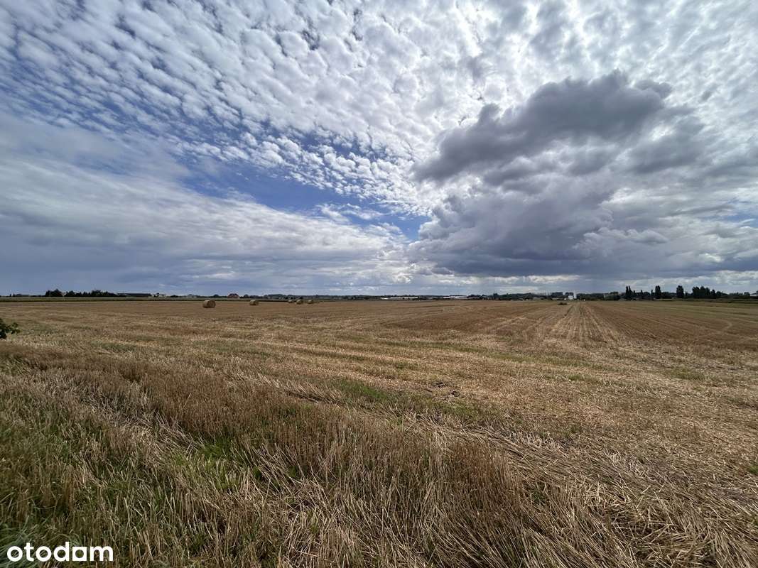 Działka budowlana 4,856 ha/MPZP- zabudowa jednorodzinna - Pełny obrazek: 5/15