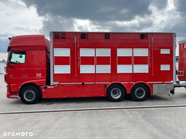 DAF XF 105.510 Oryginalny zestaw do przewozu trzody/bydła Pezzaioli/oś skrętna - 6