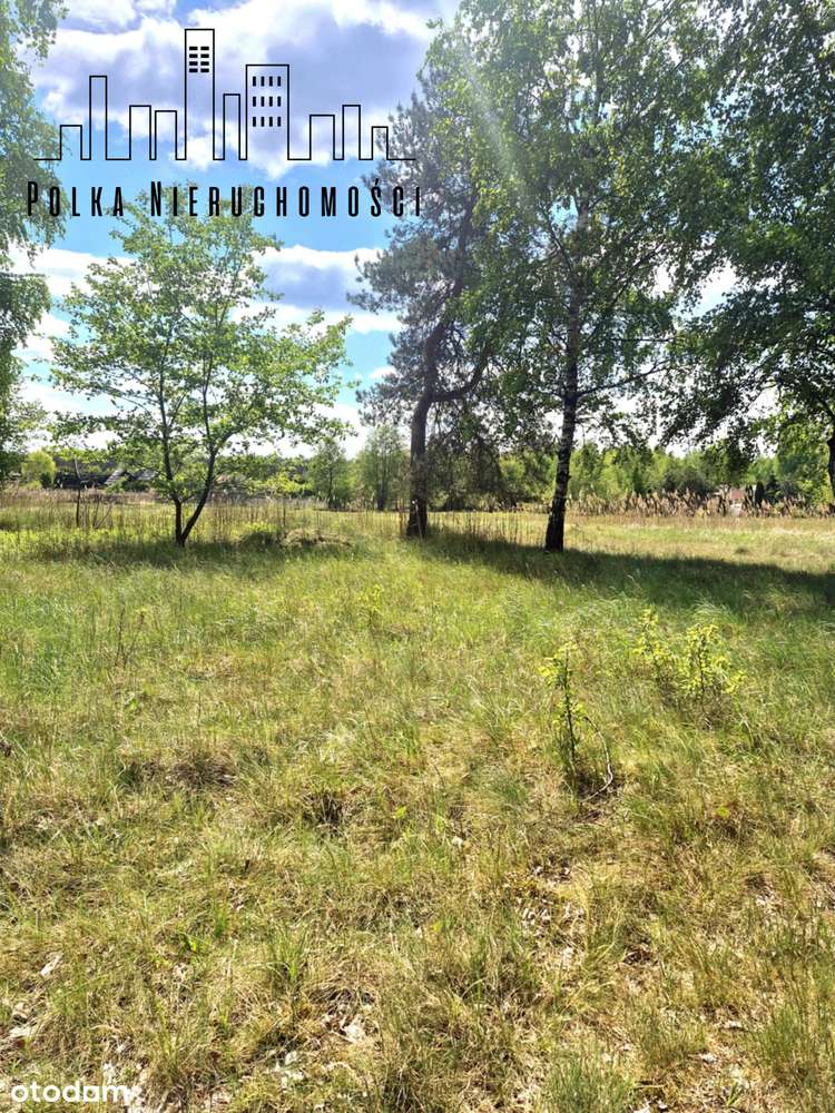 Wśród natury - las.. łąki.. i szybki dojazd do Torunia i Bydgoszczy-6