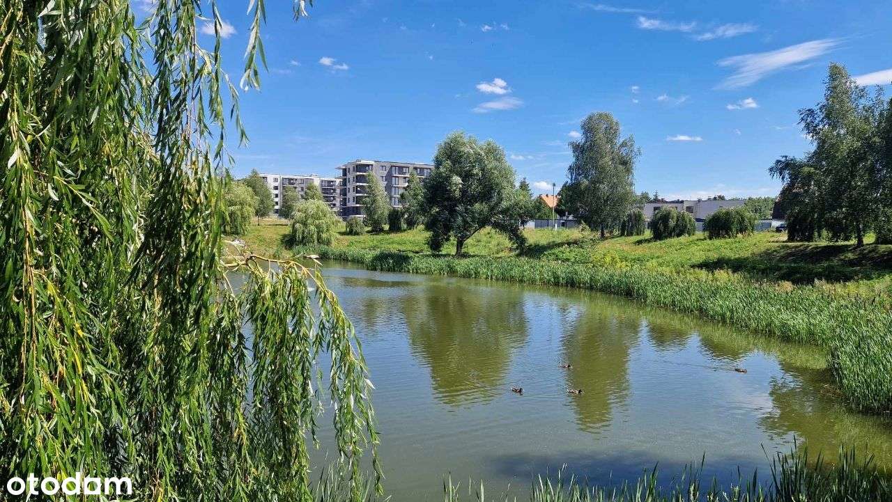 Komfortowe mieszkanie 52,5 m2| W otoczeniu zieleni - Pełny obrazek: 3/15