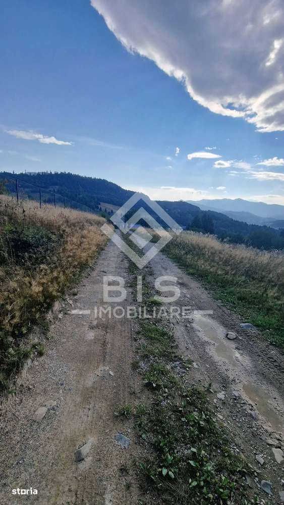 Teren Intravilan 30 ari - Parcelabil - Imagine principală: 4/10