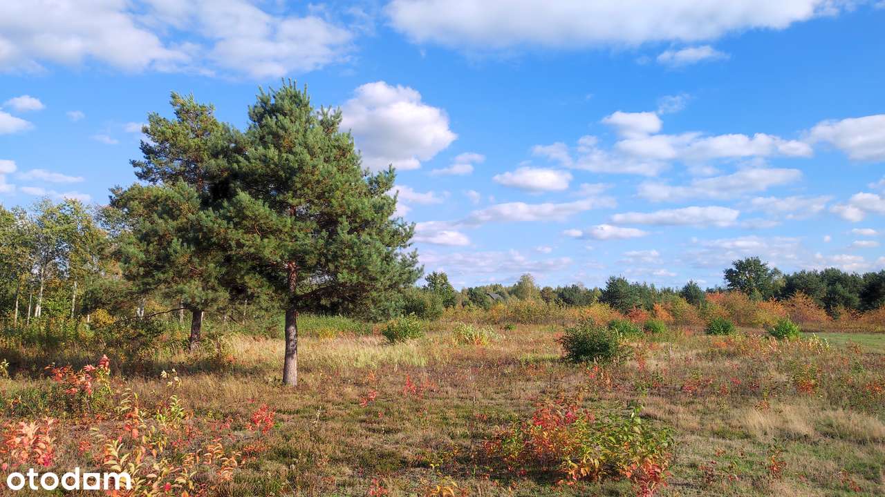 Działka budowlana, Krzaki Czaplinkowskie-0