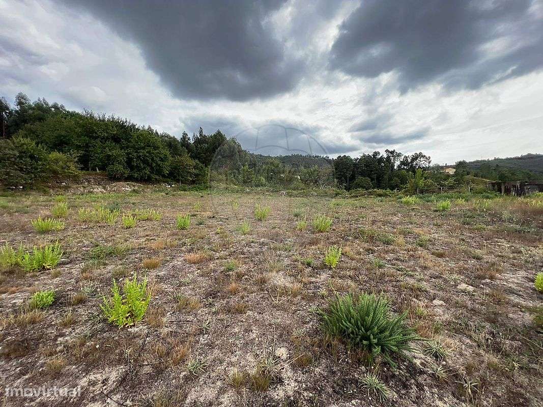 Terreno  para venda - Grande imagem: 4/8