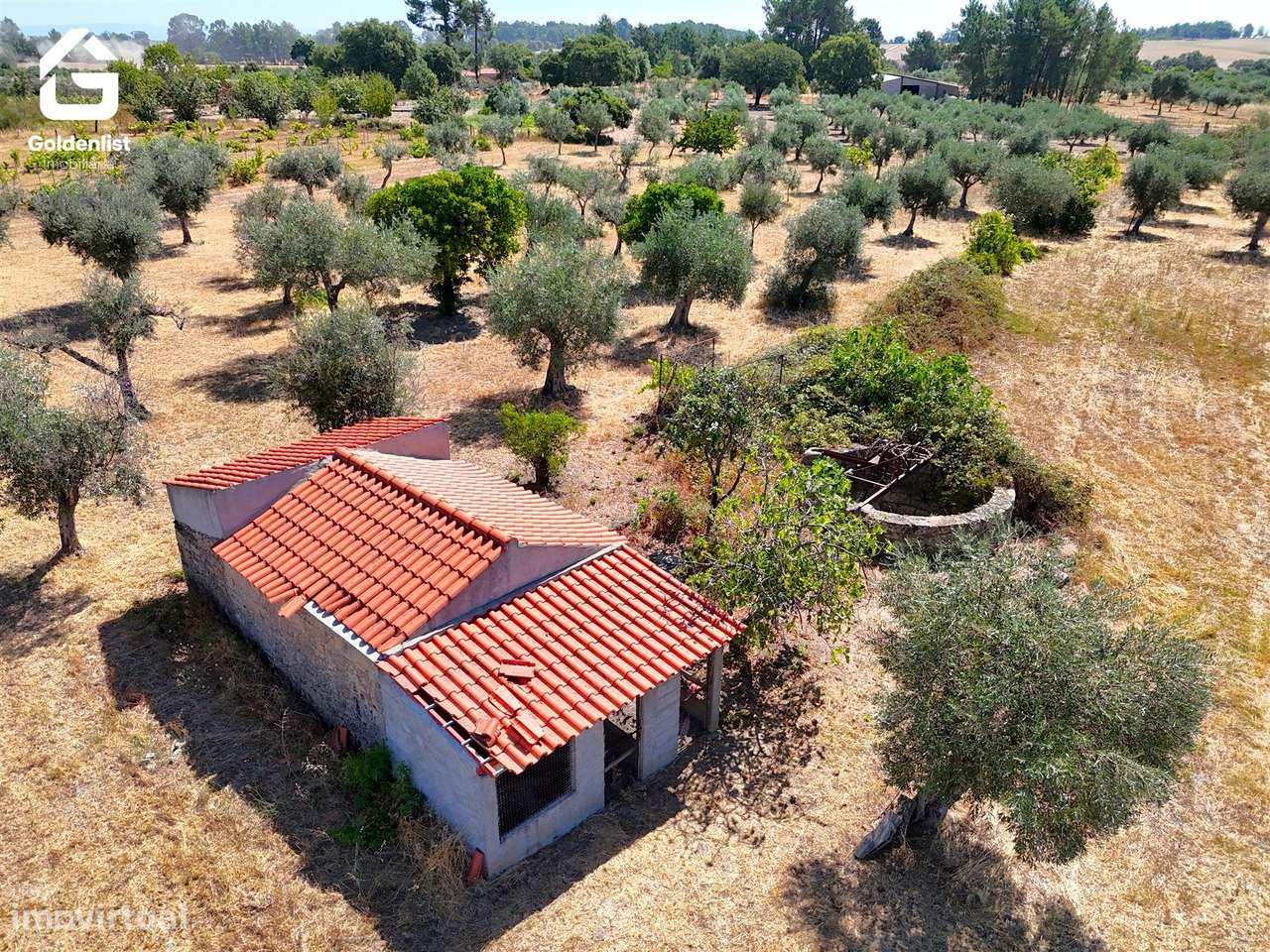 Quinta  Venda em Lardosa,Castelo Branco-9