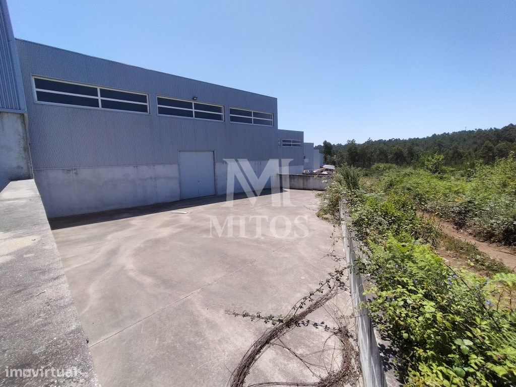 Armazém industrial para venda em Fragoso - Grande imagem: 1/11