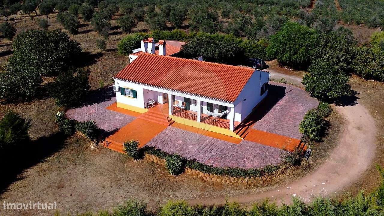 Quinta T3 para venda - Grande imagem: 4/37