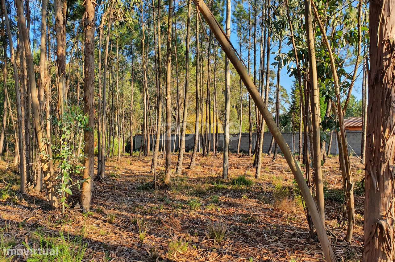 Terreno rustico - Grande imagem: 5/18