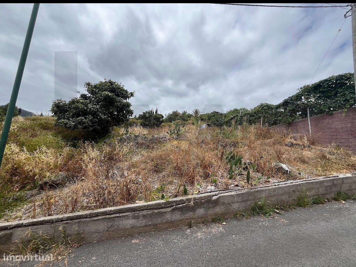 Terreno em Gaula I Construa a sua casa de Sonho-2