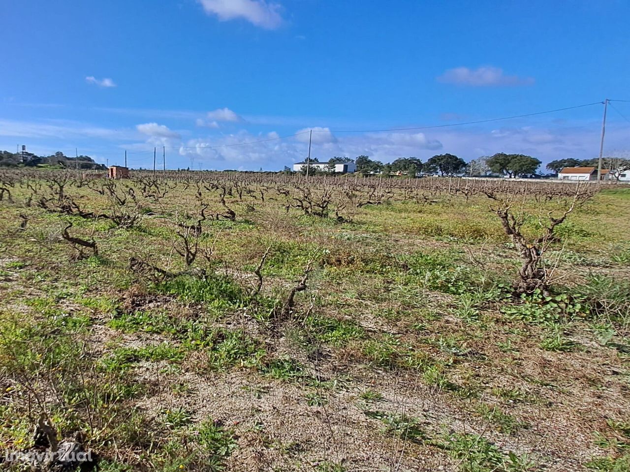 Terreno para construção ou para Quinta própria