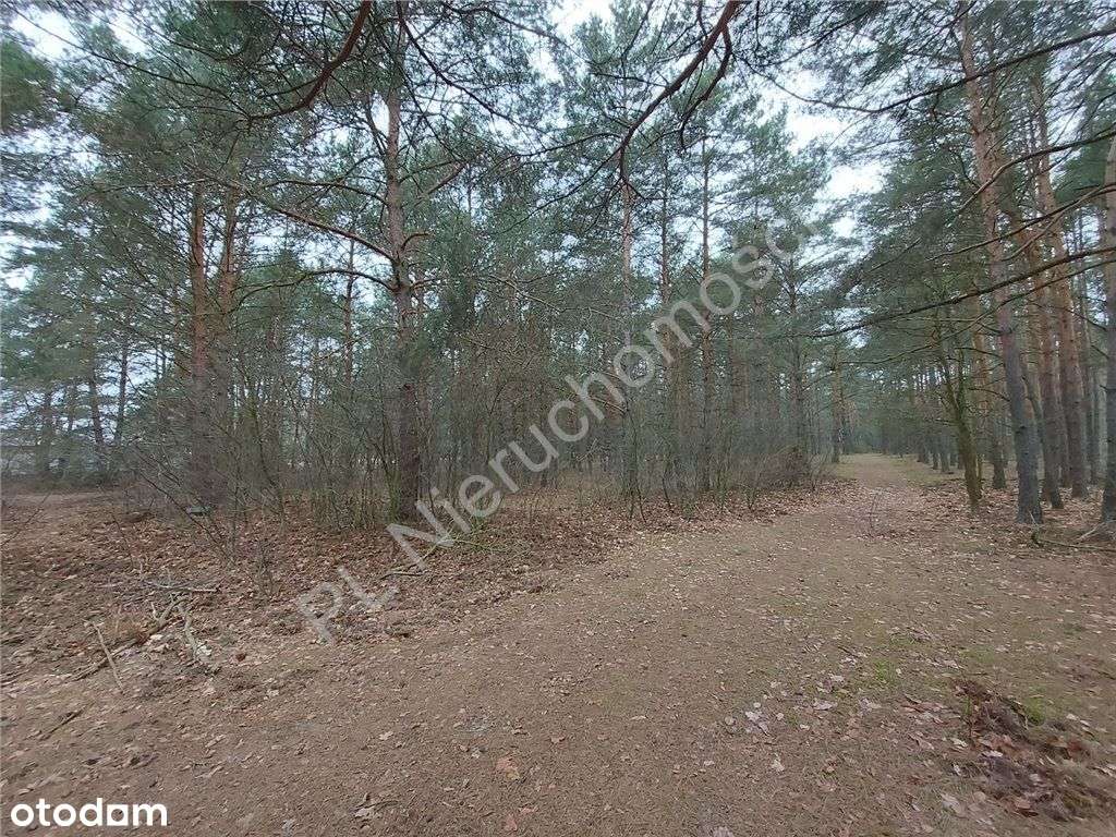 Zielono I Bezpiecznie, Blisko Rzeka Bug. - Pełny obrazek: 5/9