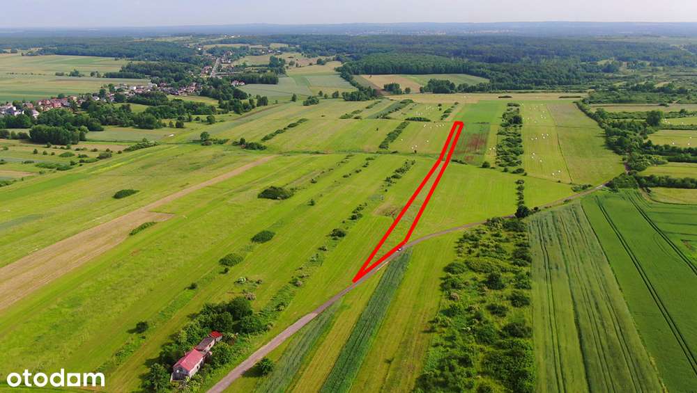 Działka rolna Poręba-Niwki-0