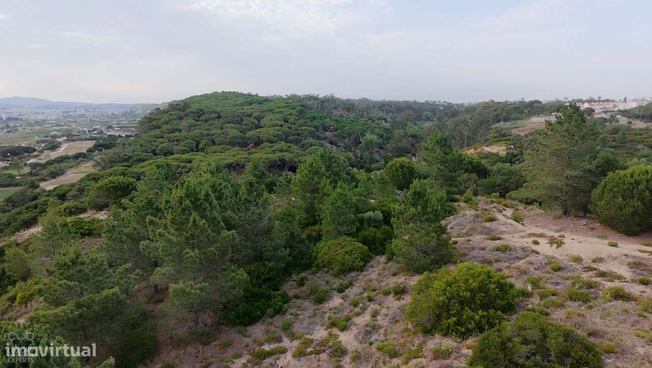 Terreno Rústico com Vista Mar e Potencial Ecológico-25