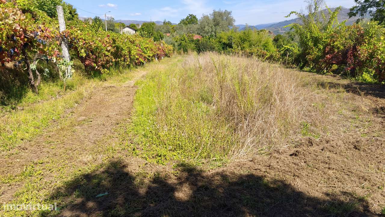 Terreno em Dornelas; Amares-0