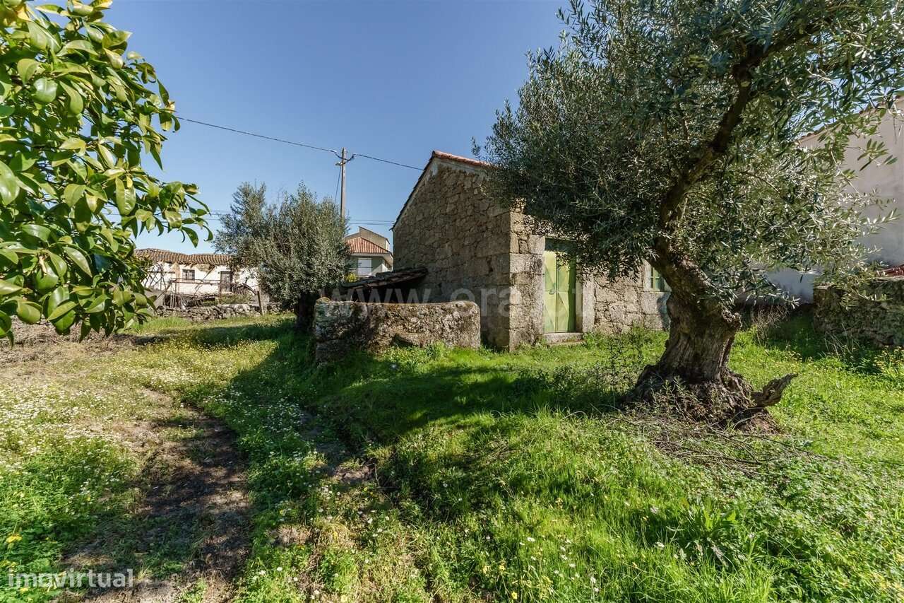 Terreno / Fundão, Martianas - Grande imagem: 4/20