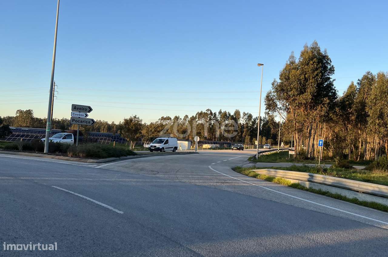 Terreno rústico com 7200M2 - Cantanhede - Grande imagem: 4/15