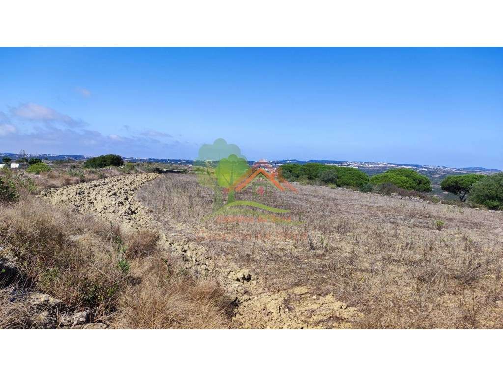 Terreno agrícola, com vista maravilhosa - Grande imagem: 4/14