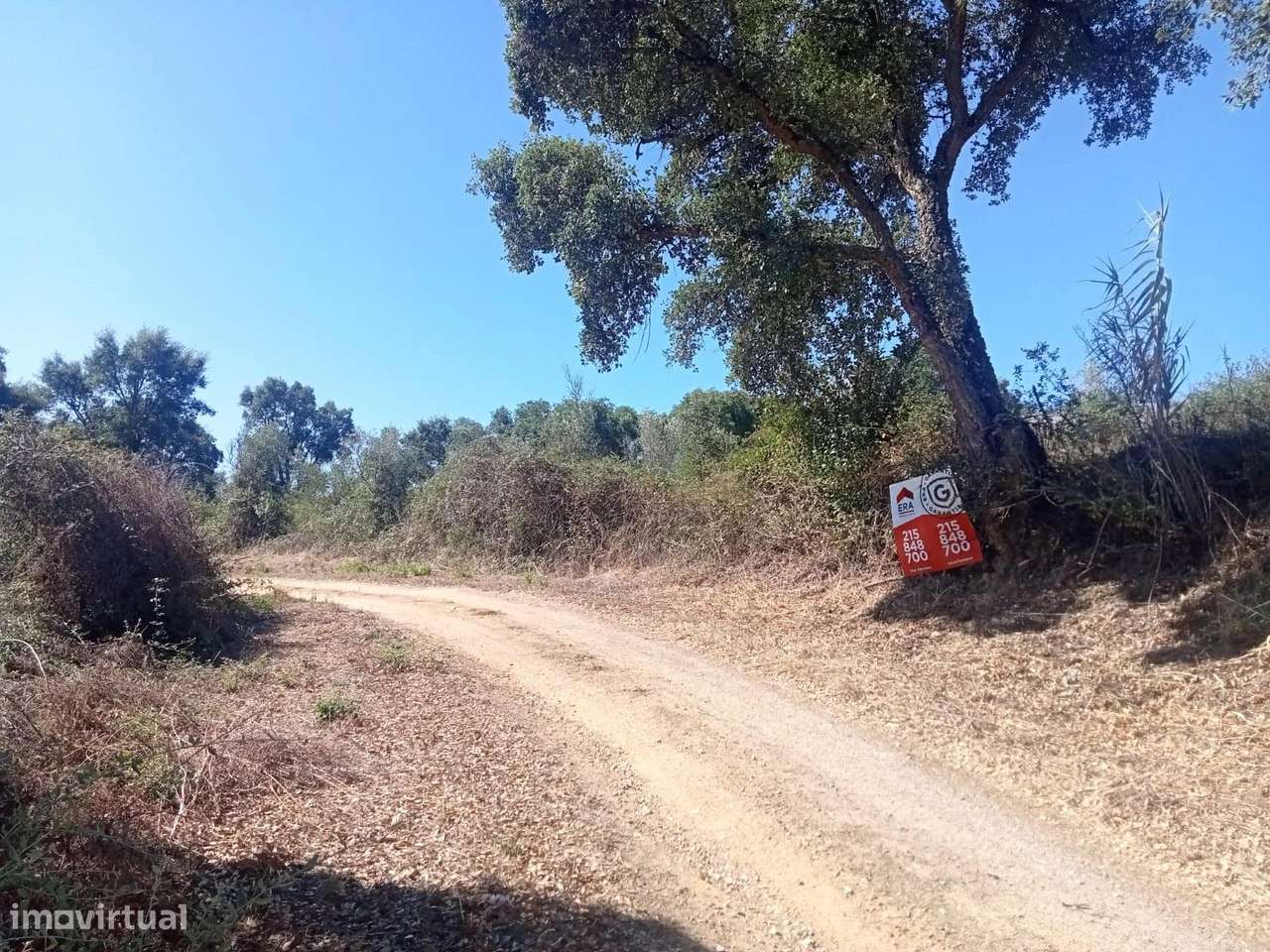 Terreno, 5 640 m², União de Freguesias da cidade de Santarém - Grande imagem: 3/4