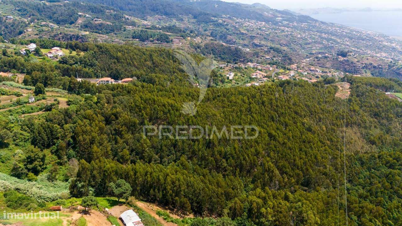 Terreno Rústico - Ideal para Projeto Agrícola - Grande imagem: 4/4