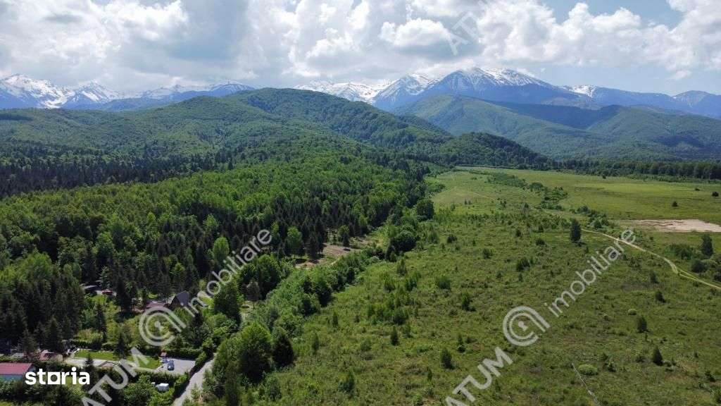 Teren intravilan de vanzare pe Valea Avrigului - Imagine principală: 4/4