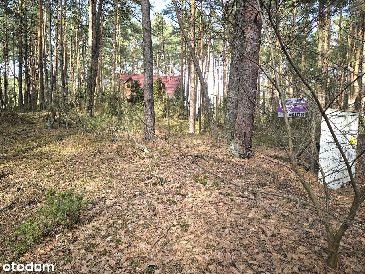 Cicha działka leśna. Popowo Letnisko. Serock. Zalew Zegrzyński. MPZP.-3