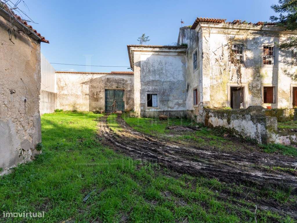 Solar dos Gavichos | Tentúgal - Grande imagem: 4/23