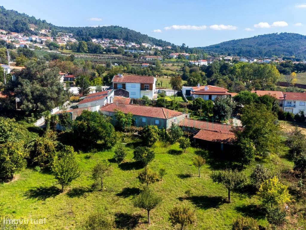 Magnífica Quinta T5 com 35.560m² a Apenas 10 Minutos do Centro de B... - Grande imagem: 2/60