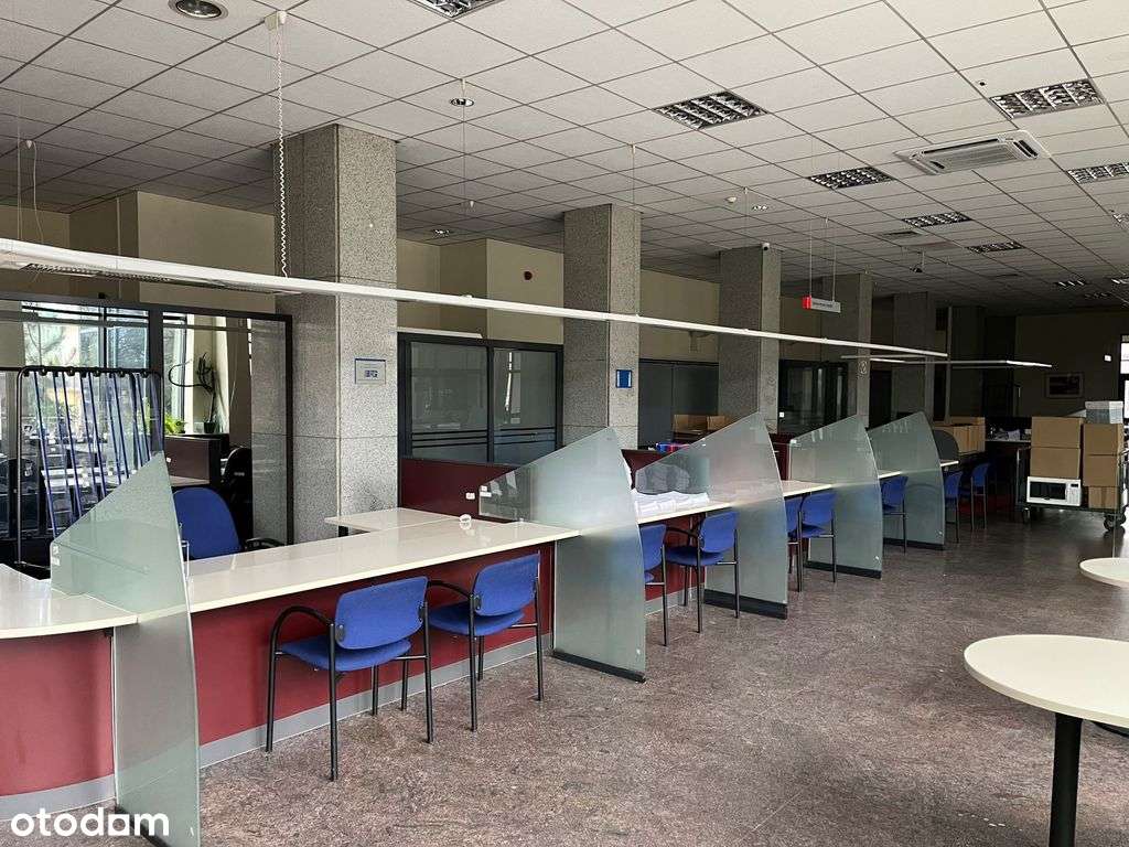 Lokal użytkowy w Łodzi przy ul. Piotrkowskiej - Pełny obrazek: 5/12