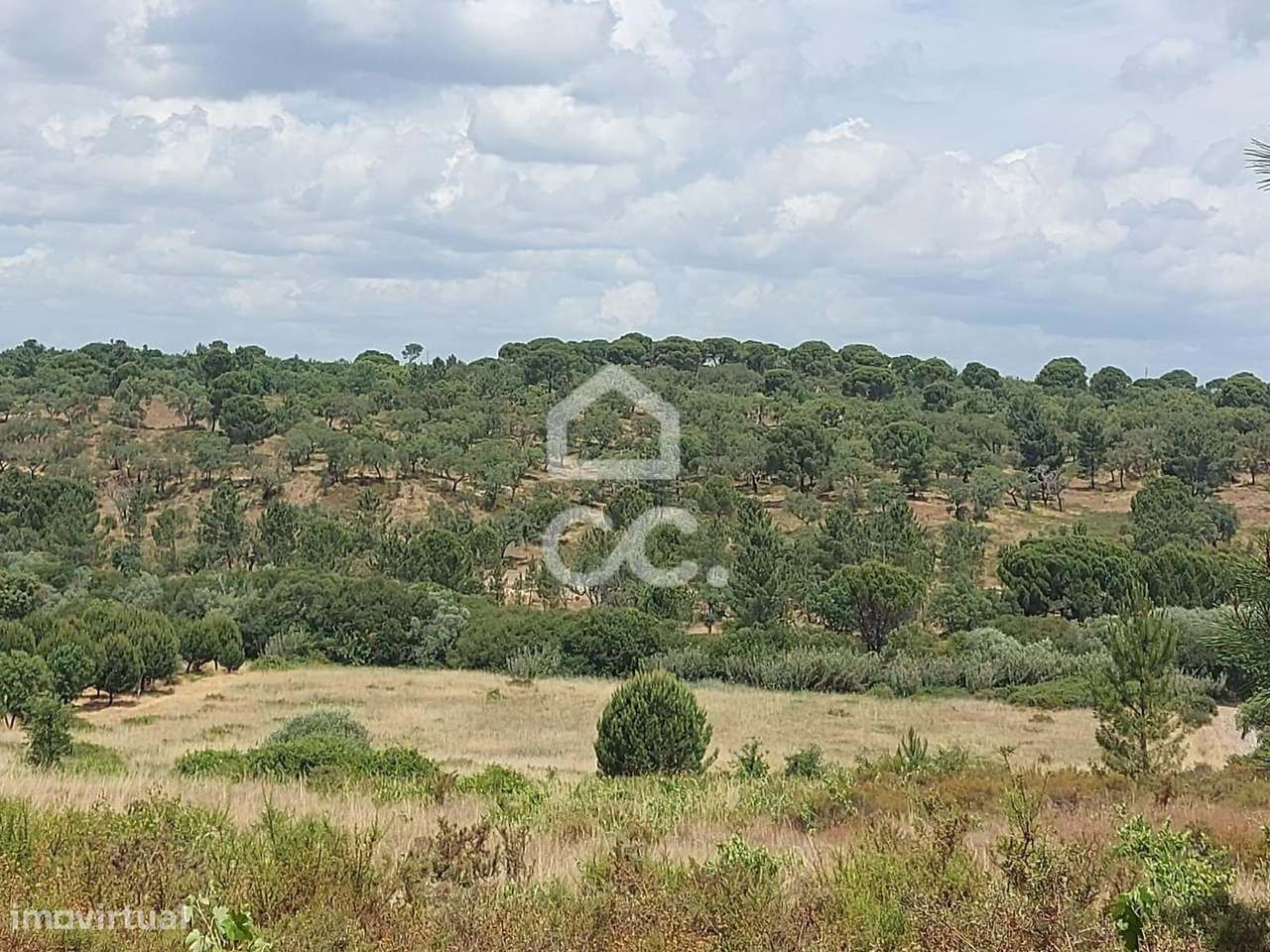 Terreno rústico com cerca de 1,59 hectares | Cabeção (Mora) - Grande imagem: 4/8