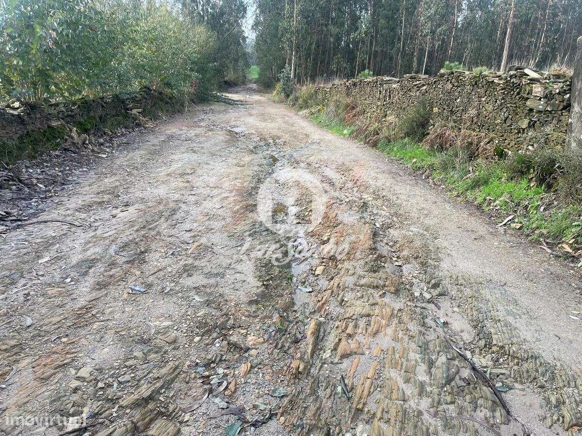 Terreno Florestal 14.500m2, Balazar - Póvoa de Varzim - Grande imagem: 2/20