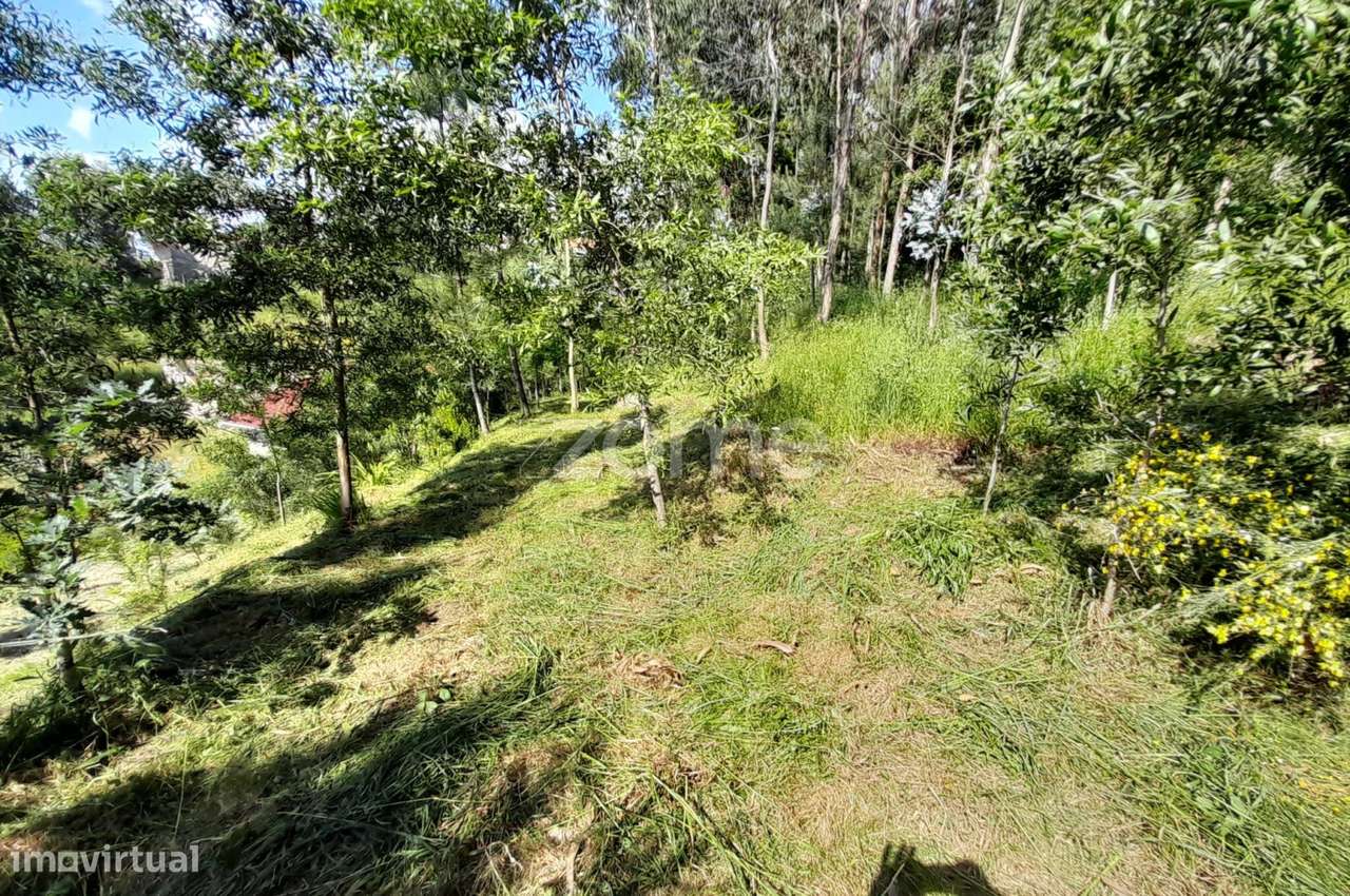 Terreno Urbanizável na Rua do Sá, Esporões-8