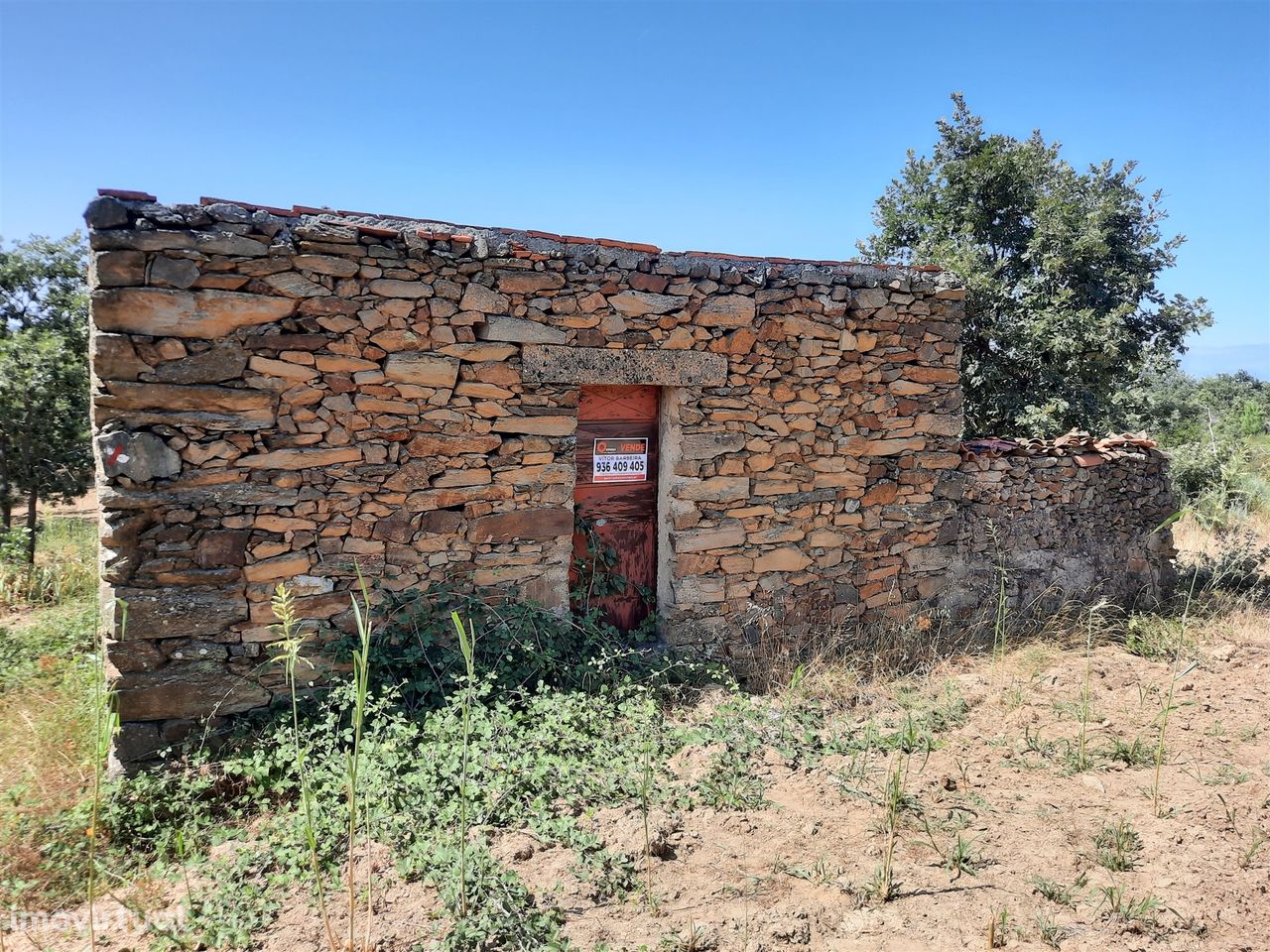 Venda Terreno para Agricultura