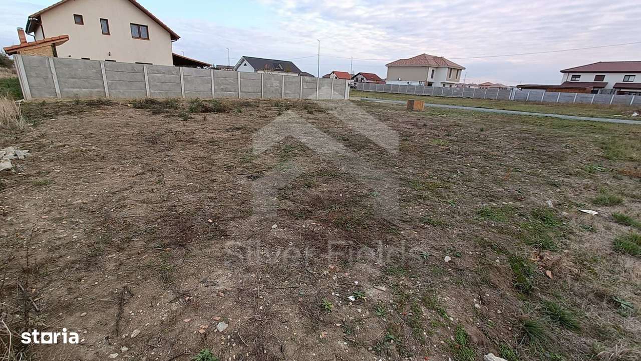 Teren Dumbrăvița cu front generos 24 ml - Imagine principală: 5/6