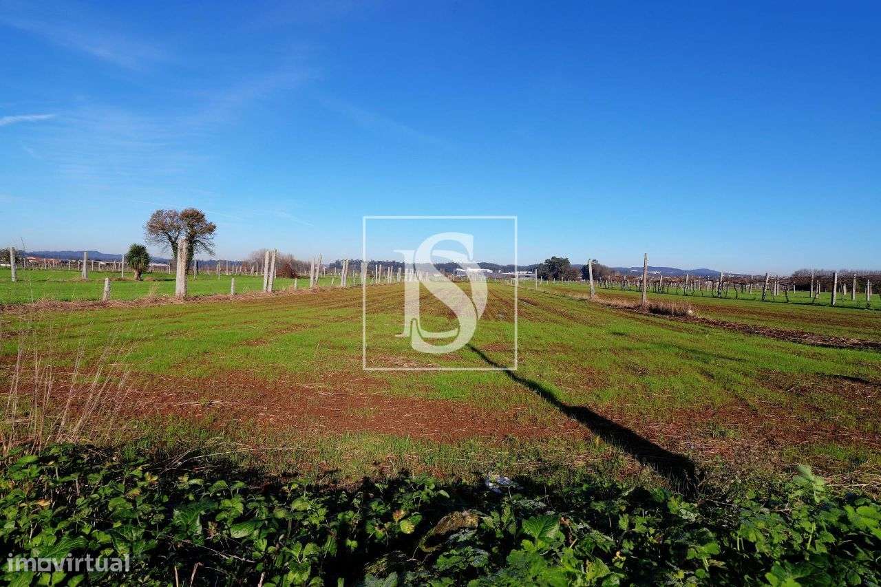 Terreno - Bougado - Trofa - Grande imagem: 5/8