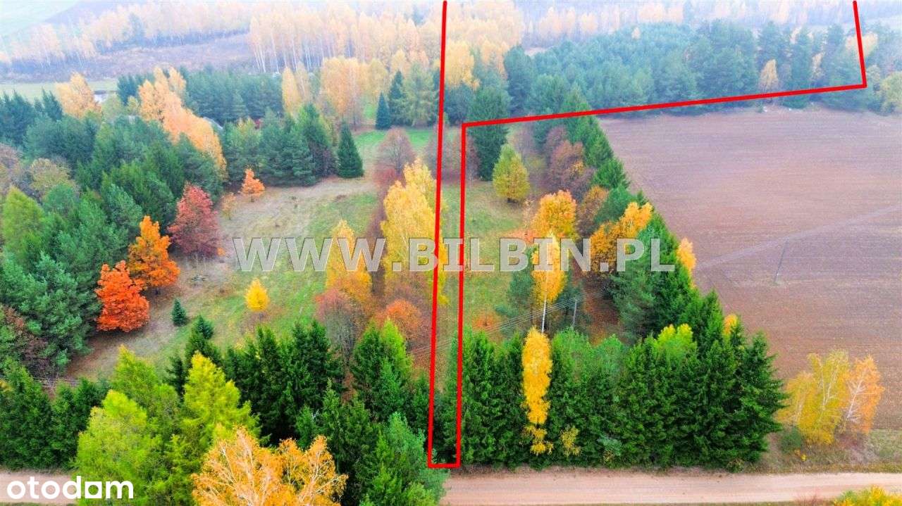 Kup działkę pod zabudowę siedliskową ! - Pełny obrazek: 4/7