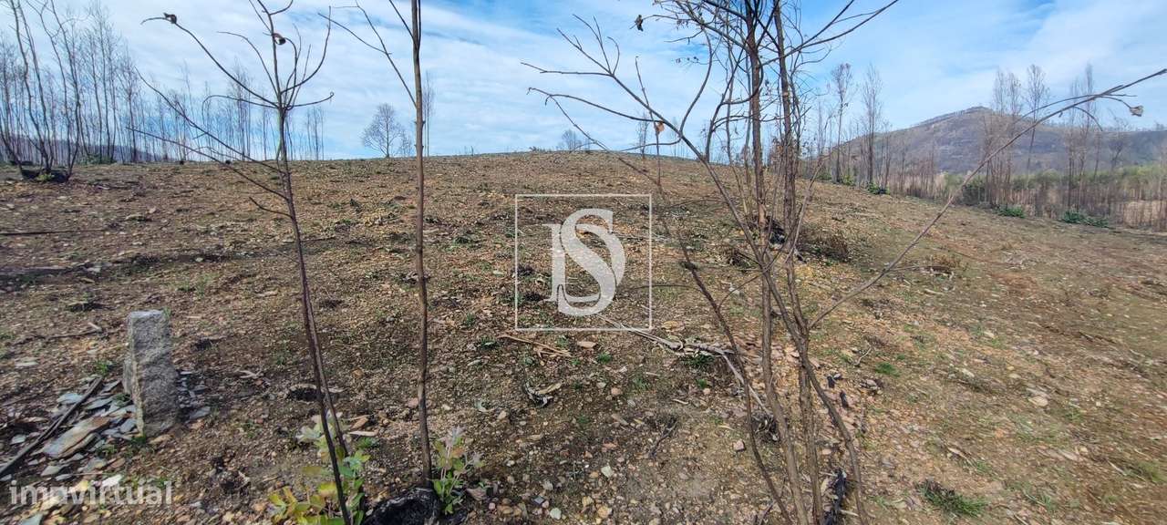 Terreno de 2,4Ha em Melres - Grande imagem: 5/8