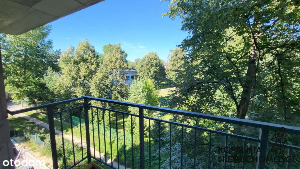 3 pokoje/pierwsze piętro!!! - Pełny obrazek: 4/5