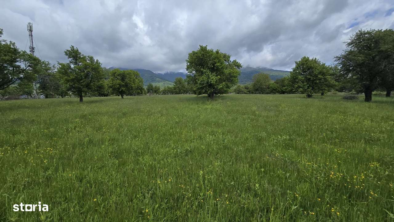 teren intravilan - 2 minute de centru Prundu Bargaului - 26 parcele-1