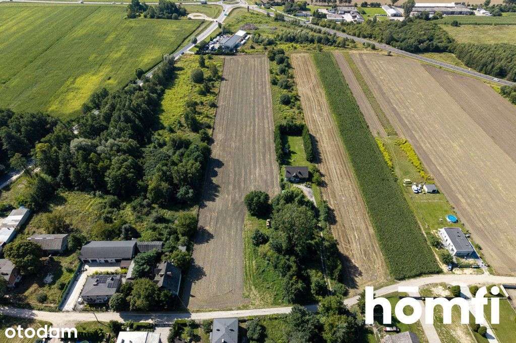 działka 7,9 tys m2 budowlana Konstantynów Łódzki - Pełny obrazek: 4/18