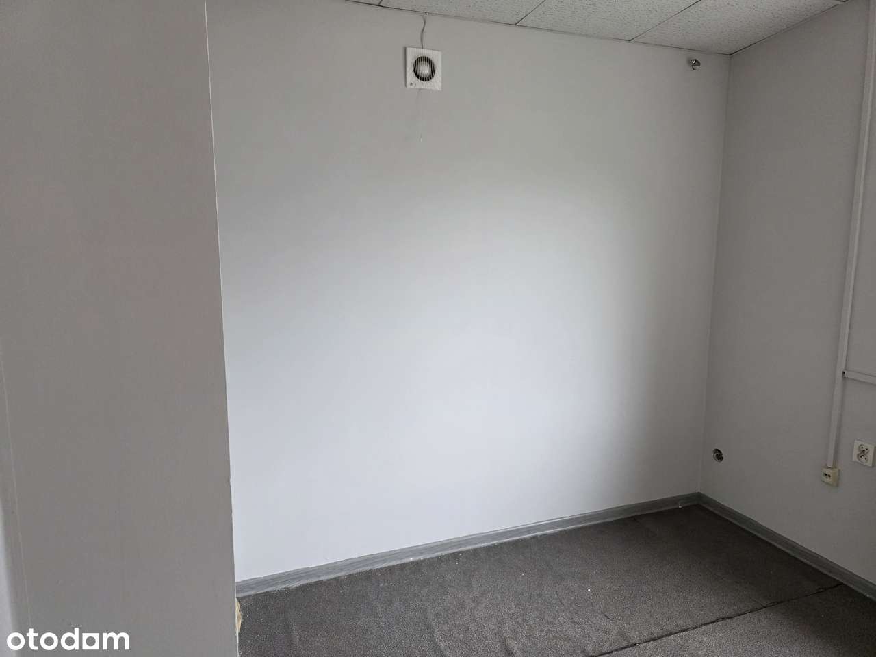 Budynek pod produkcję/biura/usługi - Pełny obrazek: 5/10