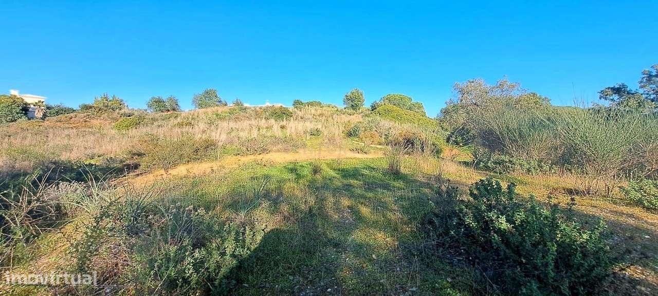 Terreno Rústico à Venda - Oportunidade Única perto de Albufeira! - Grande imagem: 5/11