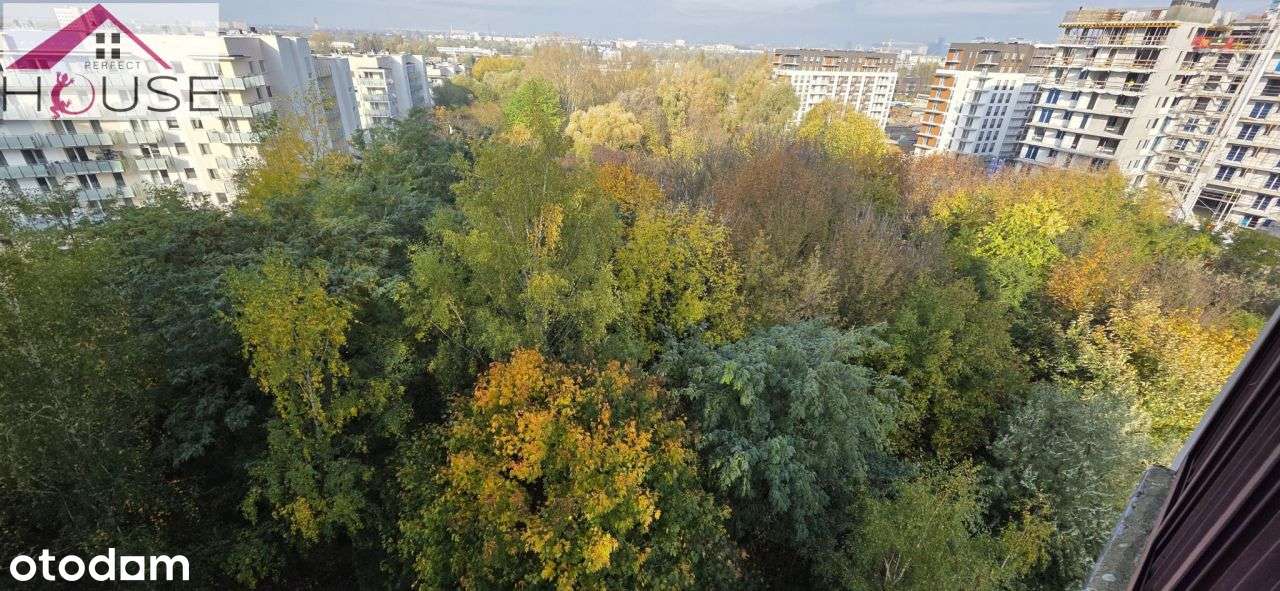 Jasna przestronna kawalerka-13