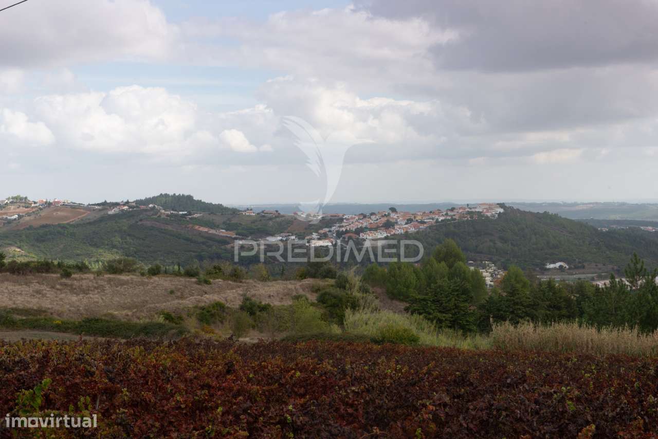 Terreno para Moradias em Albarróis - Alenquer - Grande imagem: 4/25