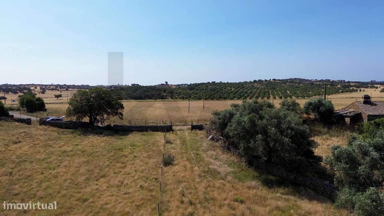 Oportunidade Única em Almodôvar – Terreno com 4 hectares à Venda! - Grande imagem: 5/21