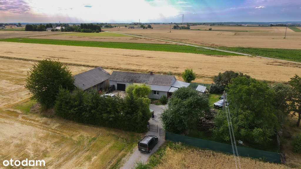 Wymarzone miejsce na dom - Wierzchowiska Pierwsze - Pełny obrazek: 5/18