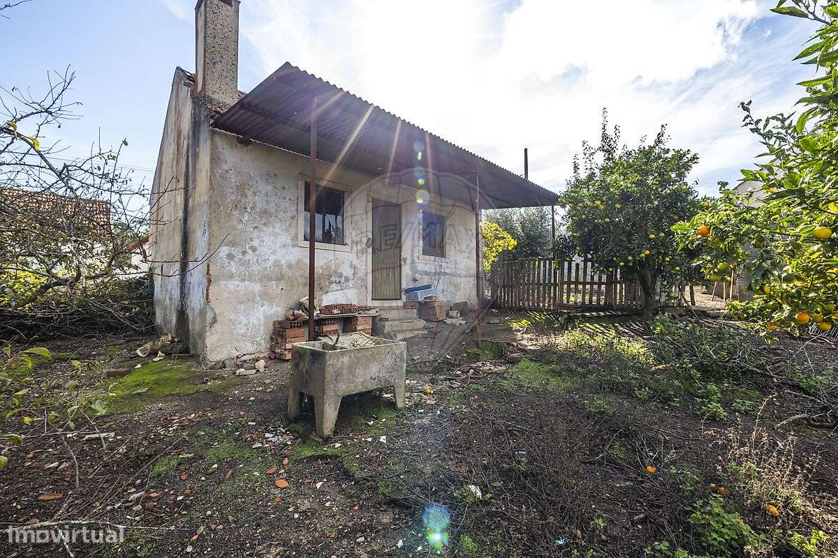 Arrecadação  para venda - Grande imagem: 4/7