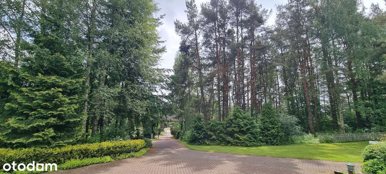 Atrakcyjny teren pod 15 bliźniaków wkomponowanych wśród drzew-2