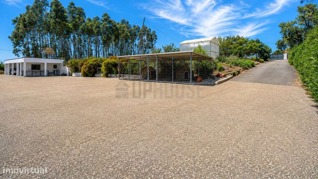 Quinta com Moradia T3 Isolada e Piscina | Água Belas, Ferreira do Zêze-26
