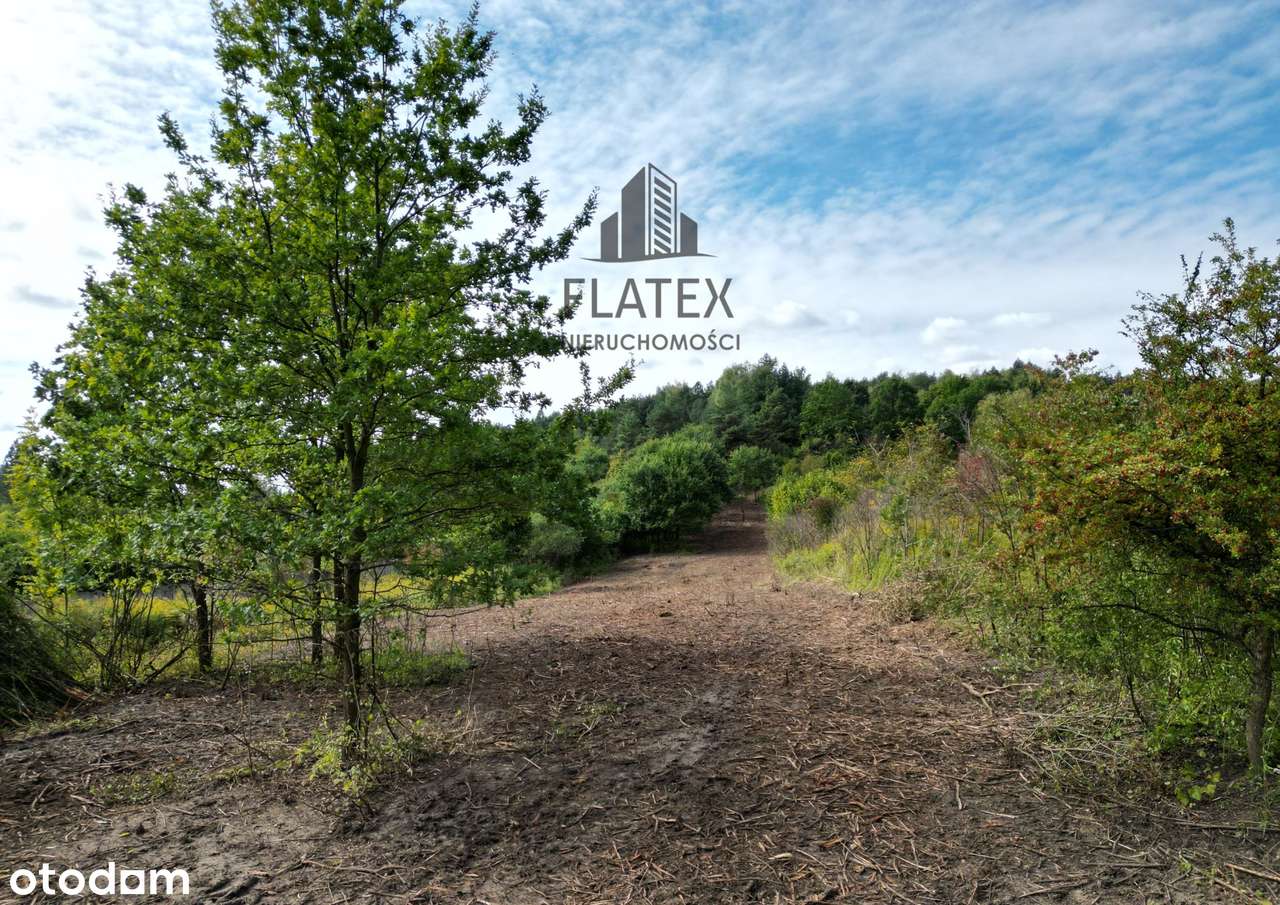 Działka w zielonej okolicy! Chrzanów - Kąty - Pełny obrazek: 5/6