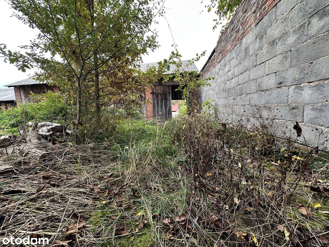 DOM Z ZABUDOWANIAMI GOSPODARCZYMI na 18-arowej działce-10