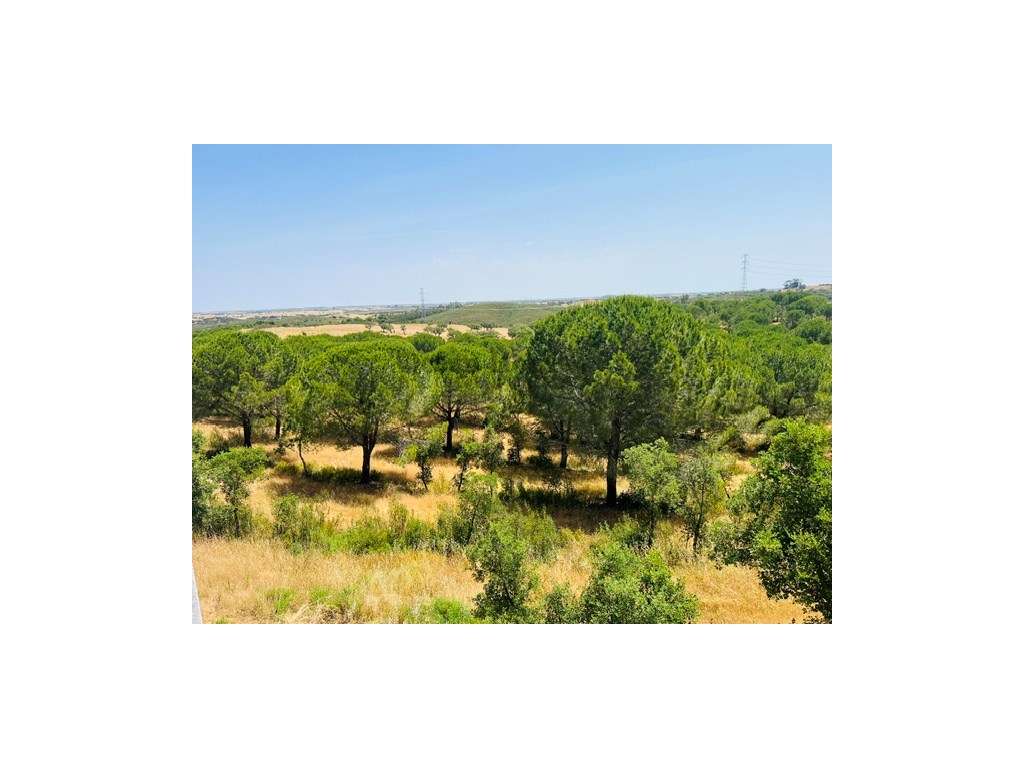 Herdade renovada com 4 quartos e piscina em Ourique.-28
